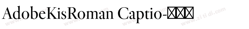 AdobeKisRoman Captio字体转换